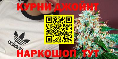 mdpv Бердск