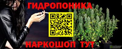 спиды Белореченск