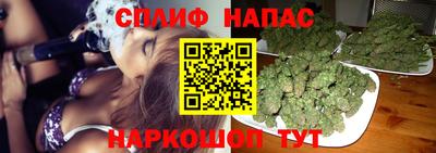 спиды Белореченск
