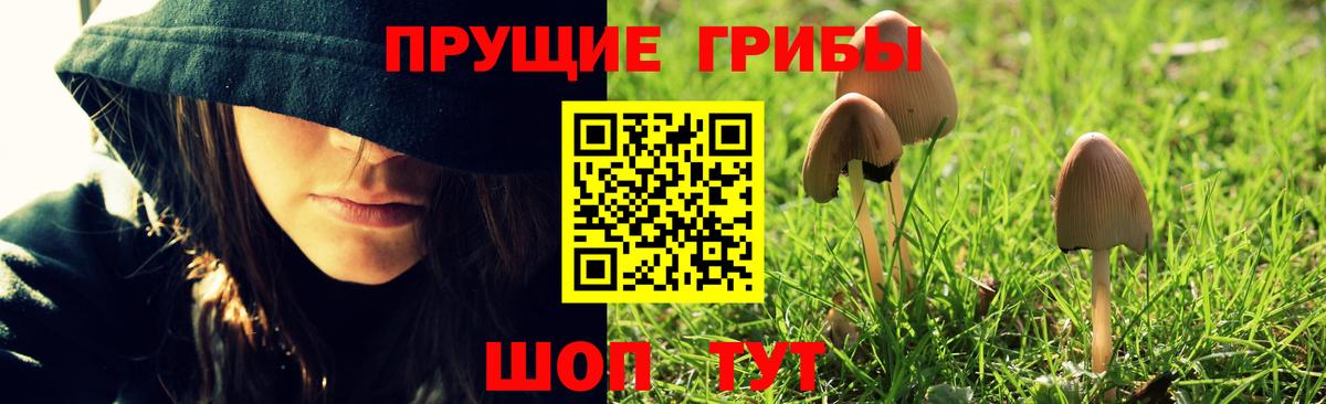 Псилоцибиновые грибы GOLDEN TEACHER Новотроицк